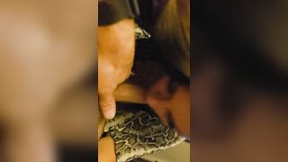 Ex-Wife blows my dick like a EXPERT!!!