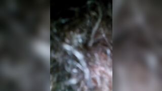 Real private unshaved vagina