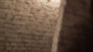 Sound of a German Bitch #2