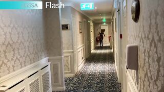 Lisa flash