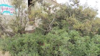 Real point of view outdoors pounded with Cougar inside an abandoned building