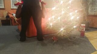 Xmas Screwed