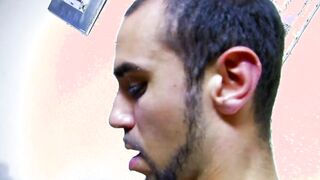 Arabian stud riding white foal deep inside her twat