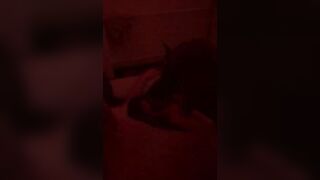 adorable sweet girl trying bdsm