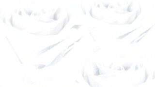 The Best of Baby Pozzi - 100% Anal