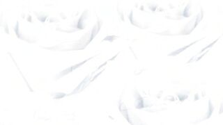 The Best of Karma - 100% Anal