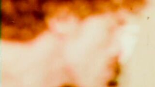 BEAUTIFUL BABE 70S - (Full Tape - Original Version)