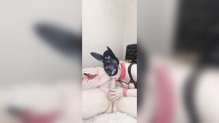 BEAUTY kitty jumps her butt on my long cock