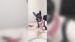 BEAUTY kitty jumps her butt on my long cock