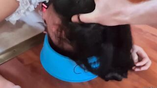 Pigtailed bimbo walked with leash laps up piss