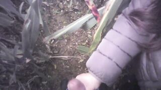 Hand Job into the field with much cum