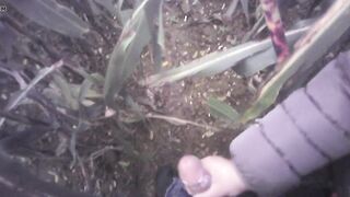 Hand Job into the field with much cum