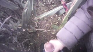 Hand Job into the field with much cum