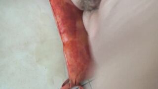 laputain chaise dans le con