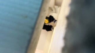Spy Under Restroom Door