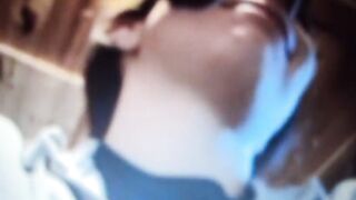 Pigtailed Skank