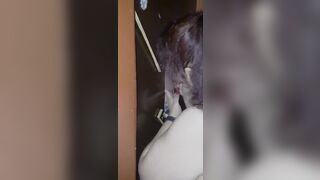 Gloryhole