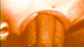 INCREDIBLE GODDESS 70'S - (Restyling Clip inside Full HD Version)