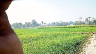 Pakistani Desi village bimbos sex with driver on road