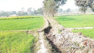 Pakistani Desi village bimbos sex with driver on road