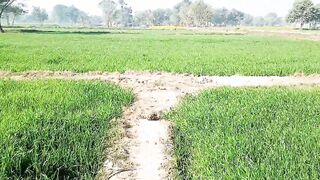 Pakistani village former long penis sex with miss professor women