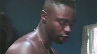 Seal Michael Nasty Tales