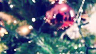 Polish lovers have sex under the christmas tree
