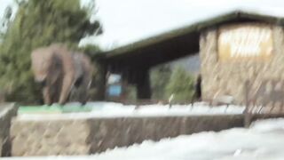 Small tit 19 year old do camshow and nailed into the snow