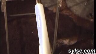 Amateur nurses banged by young doctor