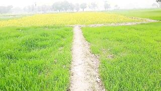 Pakistani former pounded rough twat and anal Indian village chick