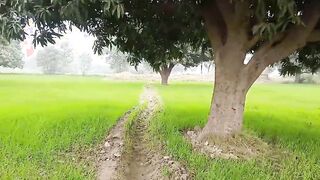 Pakistani former pounded rough twat and anal Indian village chick