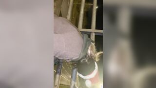 Cracky released from HMP