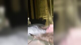 Cracky released from HMP