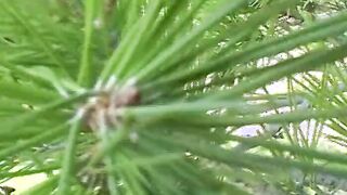 Big Boobed dark haired German lady masturbating into the public