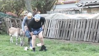 Crazy old lady - vol (three) - (Original Version inside HD Restyling)