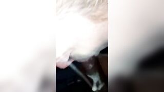 Vehicle bj