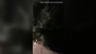 Chicago bbw blows me off for a glazed face