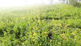 Huge penis sex with Pakistani randi women on road