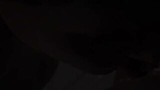 The Genesis Order - Sex Clip #13 - Erica Shaking her Booty after an Anal Fucking - 3d Game, 3d Porn