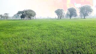 Hardcore village sex lovers MMS
