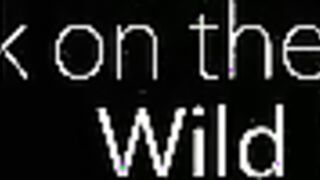 Walk On The Wild Side - S9:E19