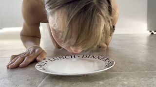 Cat Lapping mom - Milk Licking Crawl