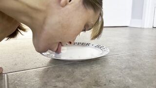 Cat Lapping mom - Milk Licking Crawl