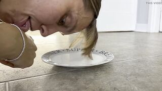 Cat Lapping mom - Milk Licking Crawl