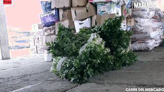 CARNEDELMERCADO - (Xiomara Soto, Pedro Nel) - Chubby Latina Goth bimbos Picked Up For A Hardcore Experience