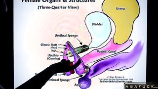 HOW TO SQUIRT Explained FAST