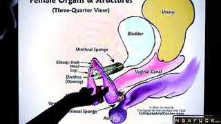HOW TO SQUIRT Explained FAST