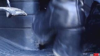 Wildkatzen (Full Tape HD)