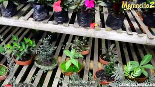 CarneDelMercado - babe Maria Antonia Alzate Ride Black Penis