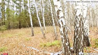 Stepmom takes a hard dick inside the woods